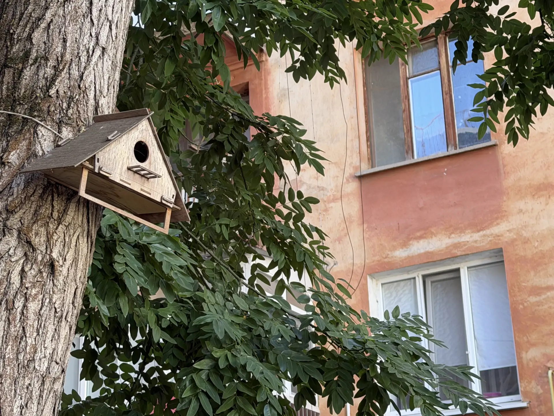 Доброе утро, лучший город, город-герой!❤️