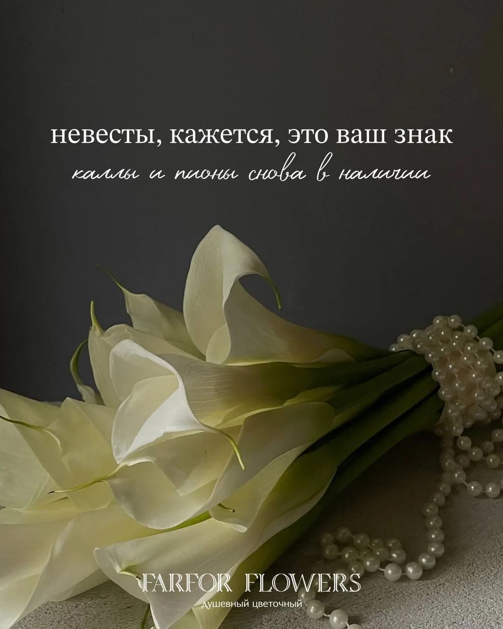 Невесты, этот пост для вас 💍

Каллы снова появились в нашем цветочном, а вместе с ними — последние 
