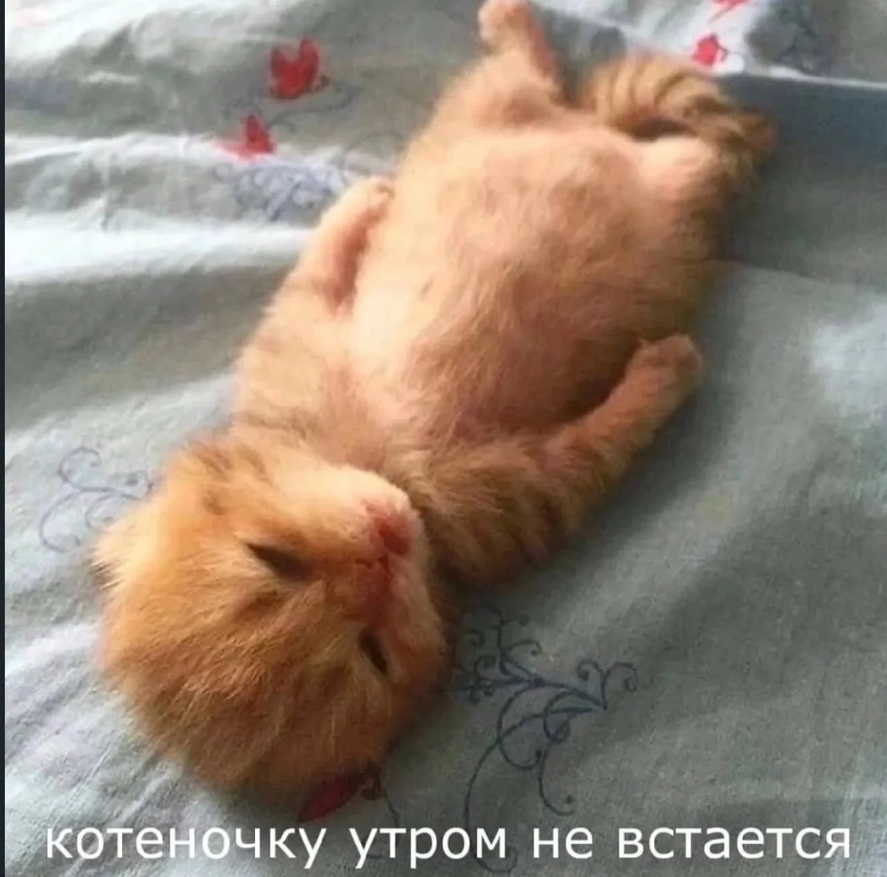 ПЕРВЫЙ МЕМНЫЙ