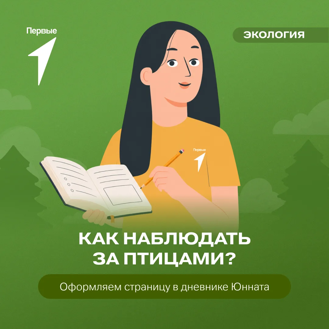 📝 Как провести наблюдение за птицами?