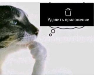 Добрый день, вот вам новая подборка 👍