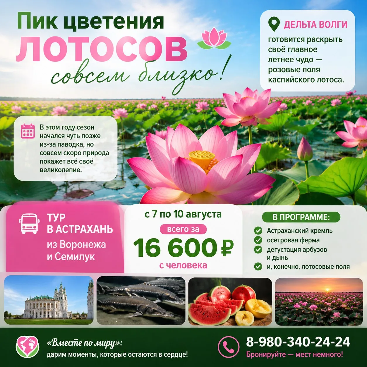🌸 Лотосы зовут: самое нежное чудо дельты Волги ждёт именно вас! 

Тысячи туристов каждое лето стрем