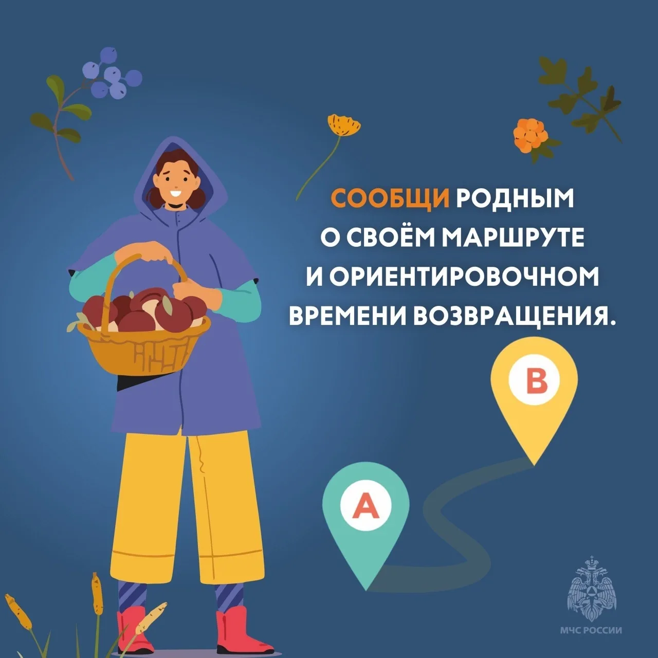 Безопасный сбор грибов 🍄