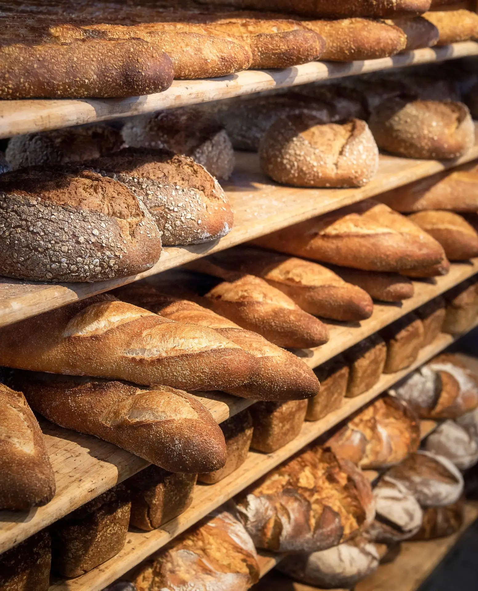 🍞В Приуралье объявлен аукцион по поиску арендатора для сельской пекарни

В Приуральском районе прох