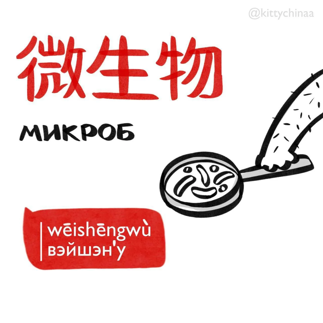 #микроб – 微生物 [wēishēngwù] 🦠

Связанные слова: 
1. Стерильный 无菌的 wújūnde уцзуньдэ; 
2. Заразный 传染
