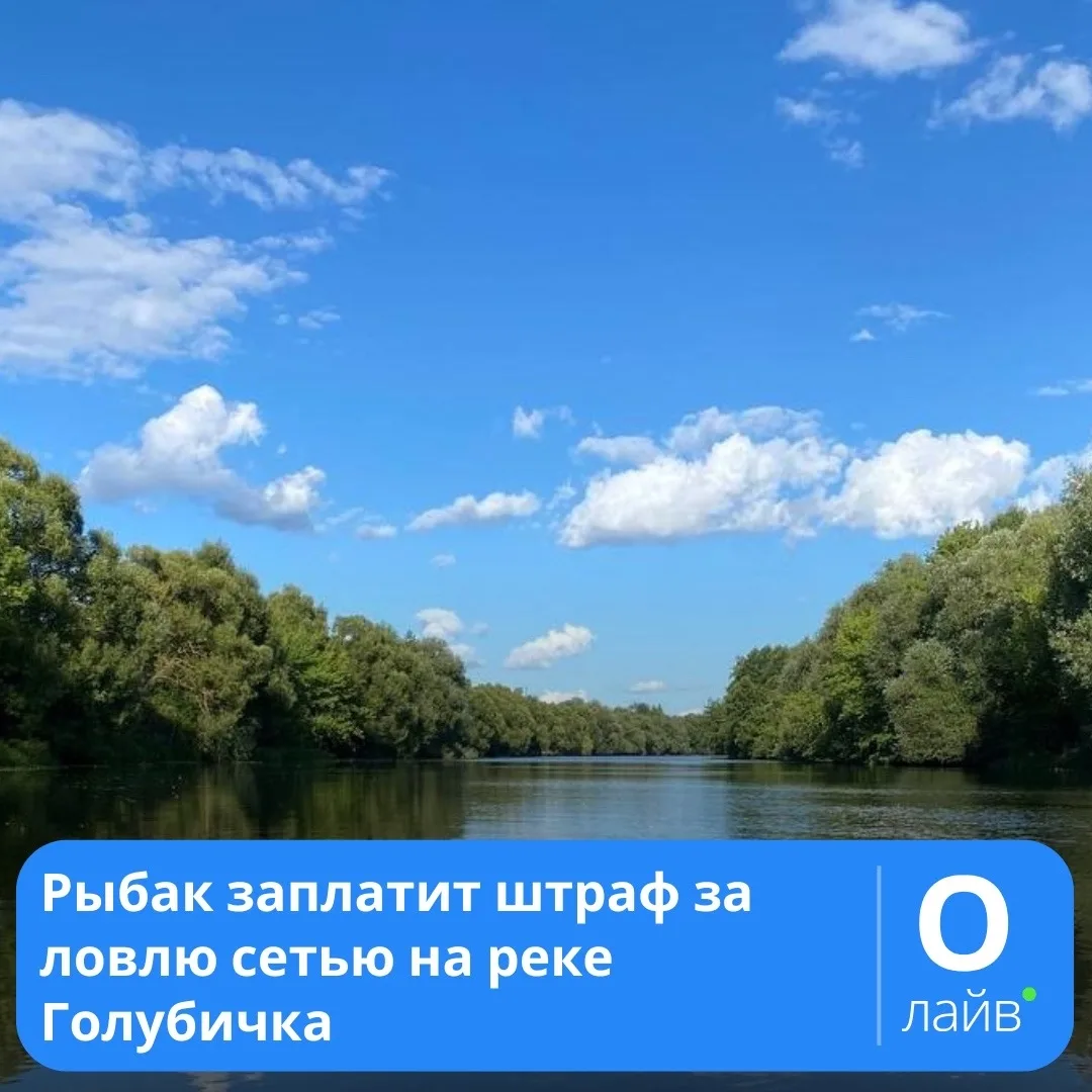 ❗Рыбак заплатит штраф за ловлю сетью на реке Голубичка

Мужчина предстал перед мировым судьей по обв