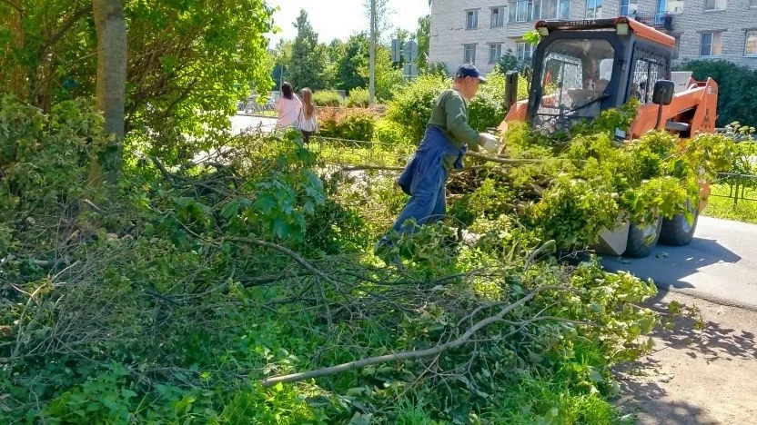 #благоустройство