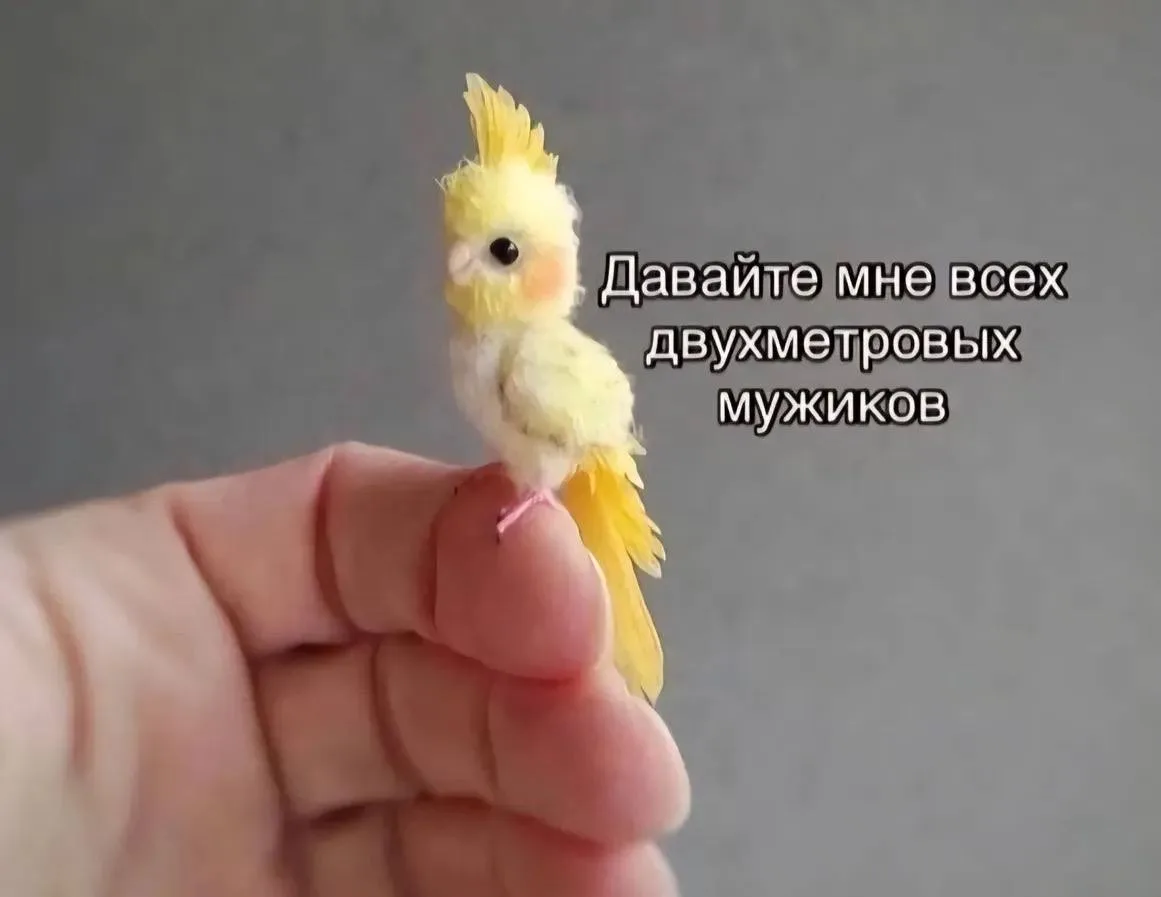 Девочки ростом 158 такие: