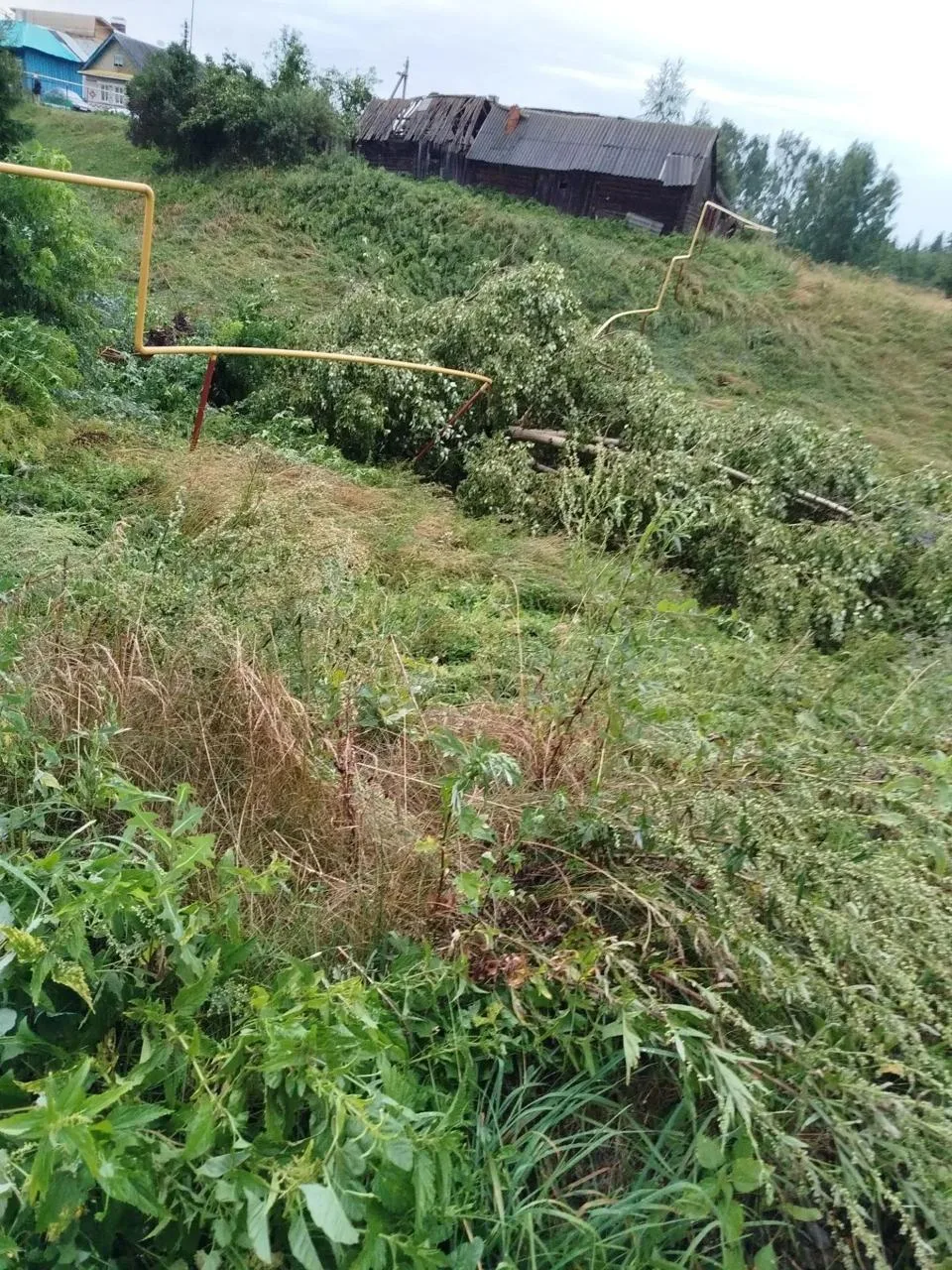 ❗️ В Мари-Турекском районе накануне вечером прошел ураган. Есть повреждения.

Основной удар стихии п