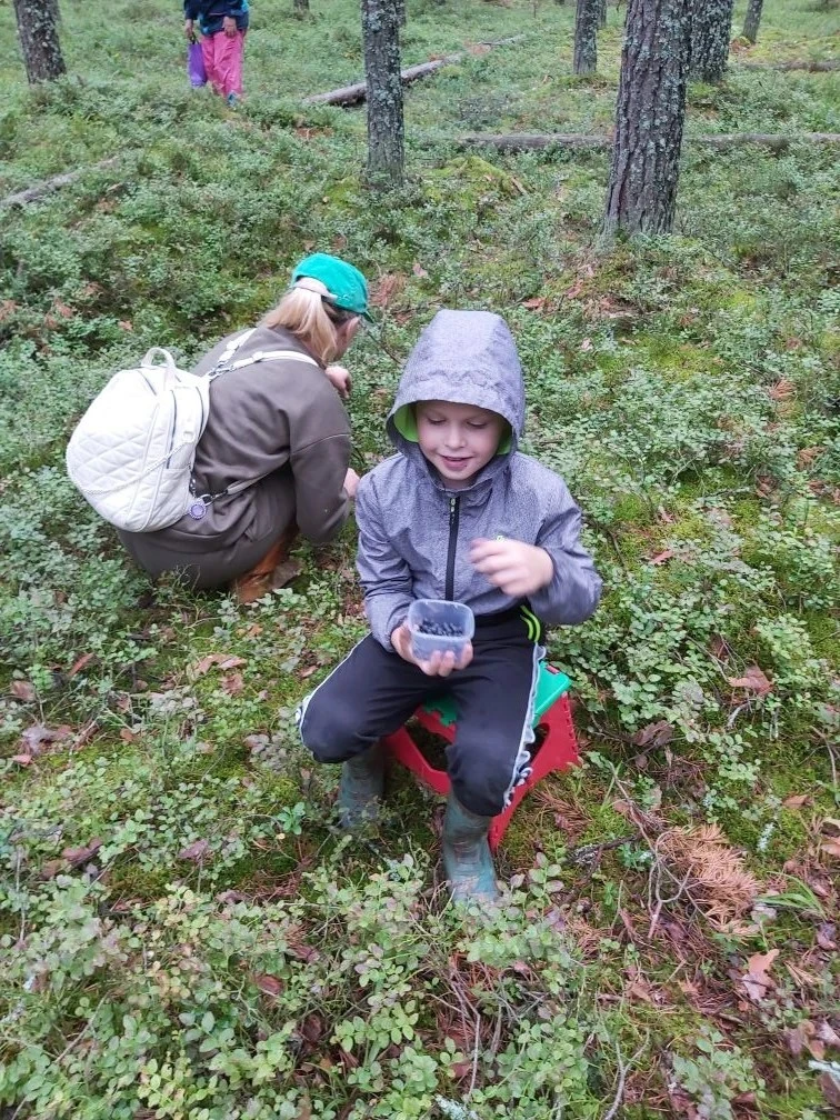 Июль — месяц, когда лес дарит нам природные богатства. 🌳

Одним из них считается черника, она богат