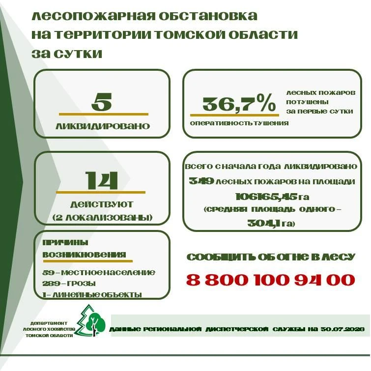 📌 За прошедшие сутки в Томской области ликвидировано 5 лесных пожаров на территории Александровског