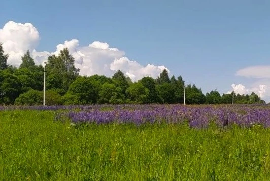 🌦️ В Калужской области в пятницу потеплеет до +21 градуса

В пятницу, 19 июня, в Калужской области 