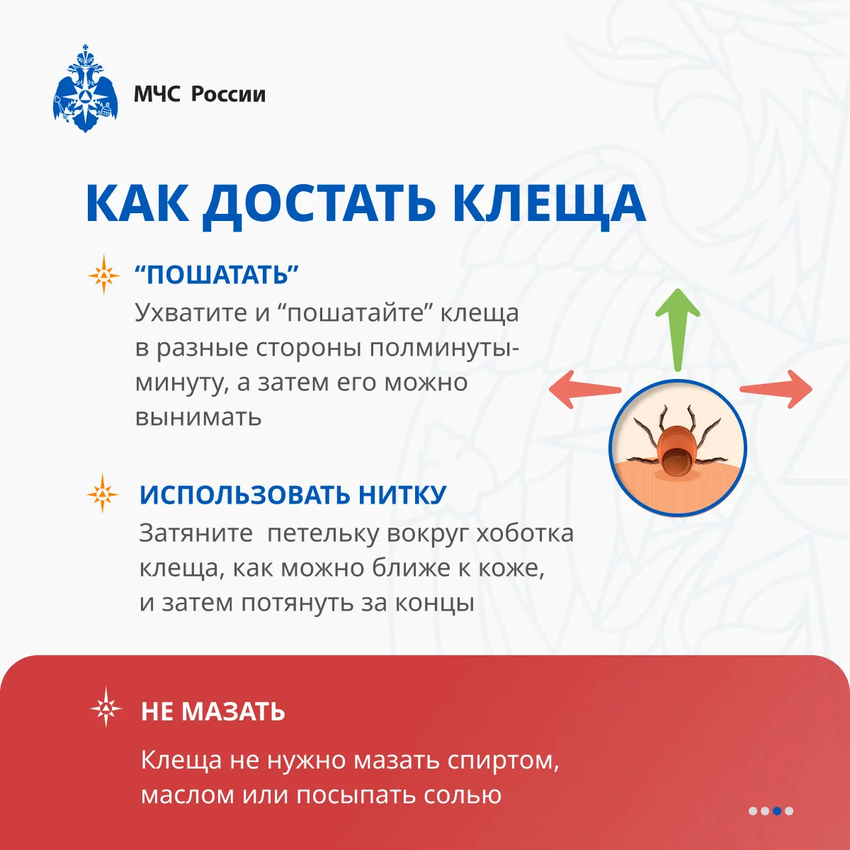 ❗Не дай клещам испортить весенний отдых: советы от МЧС России   С наступлением весны и потепления в 