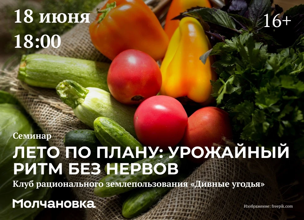 🌱Семинар «Лето по плану: урожайный ритм без нервов» | 16+ 

📆18 июня в 18:00 приглашаем на семинар