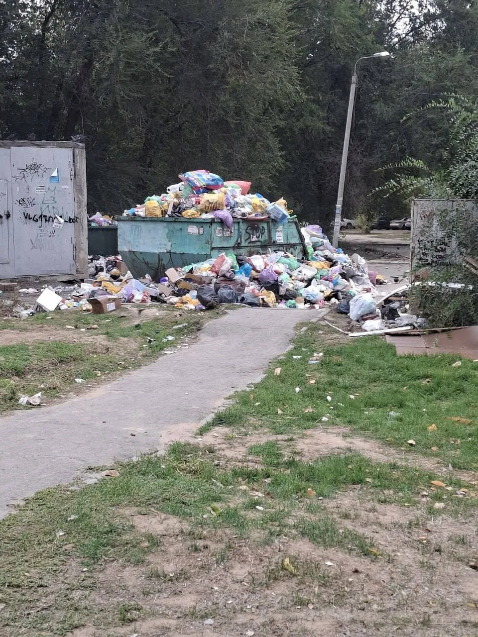 Дворы Волгограда завалило мусором