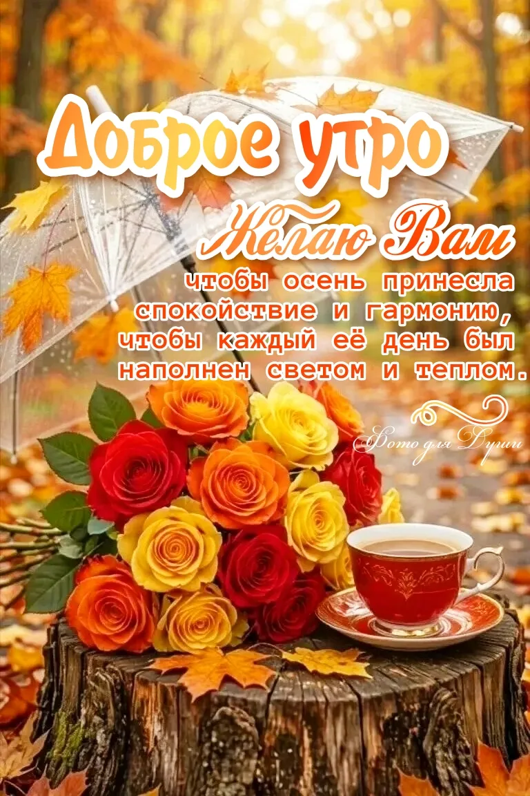 ДОБРОЕ  УТРЕЧКО