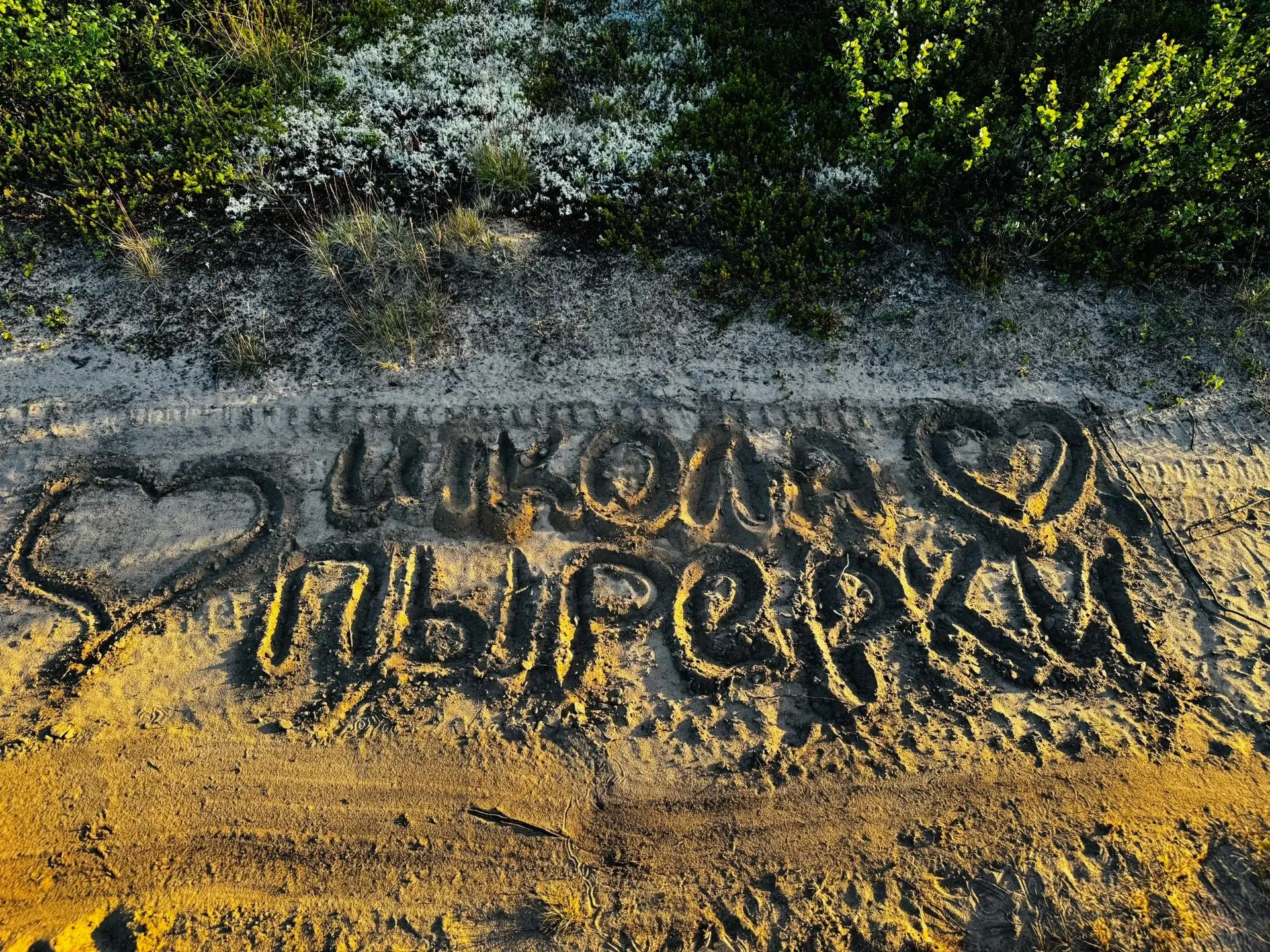 ✨Тундра — это магия в деталях!

☀️Когда солнце касается земли так нежно, что даже самый скромный цве