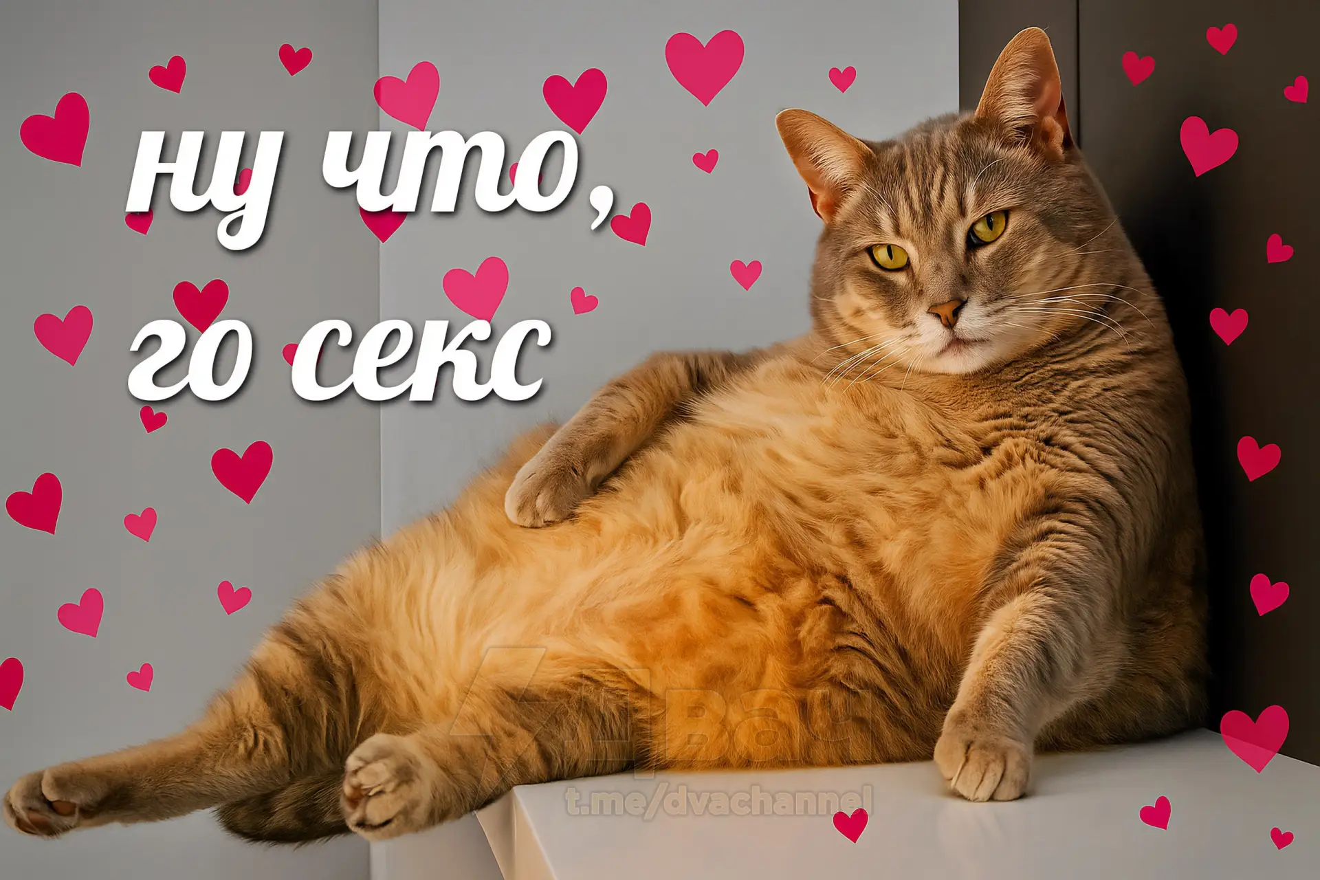 ❤️ Сегодня также отмечается День неукротимой страсти