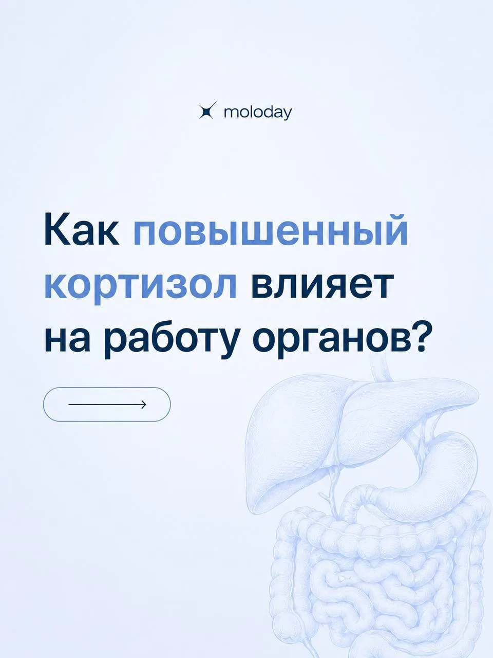 Почему все вокруг заговорили о кортизоле, хроническом стрессе и выгорании? 🤔

Изначально кортизол з