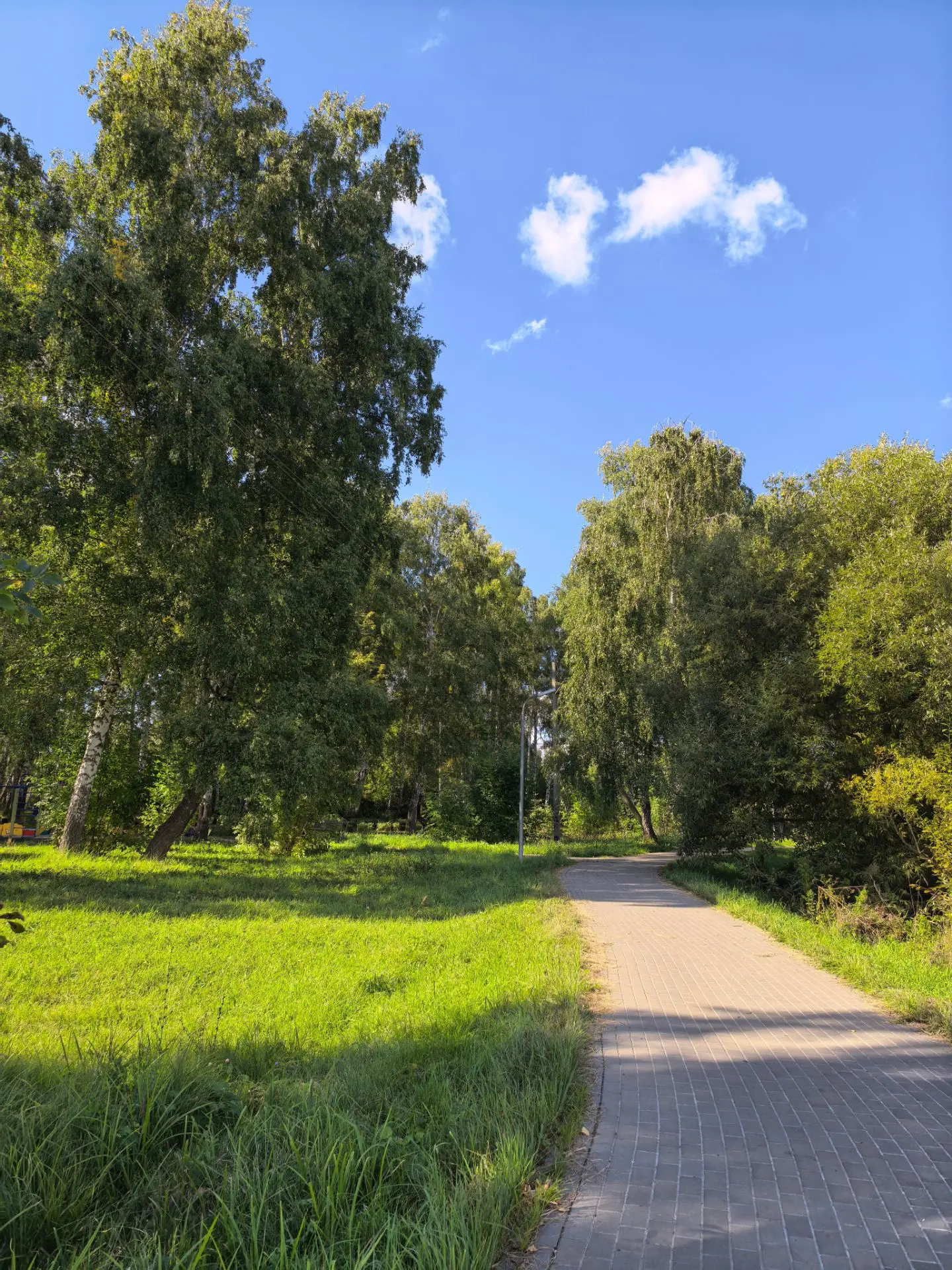 Ранняя осень в парке на Дубянке 🍂