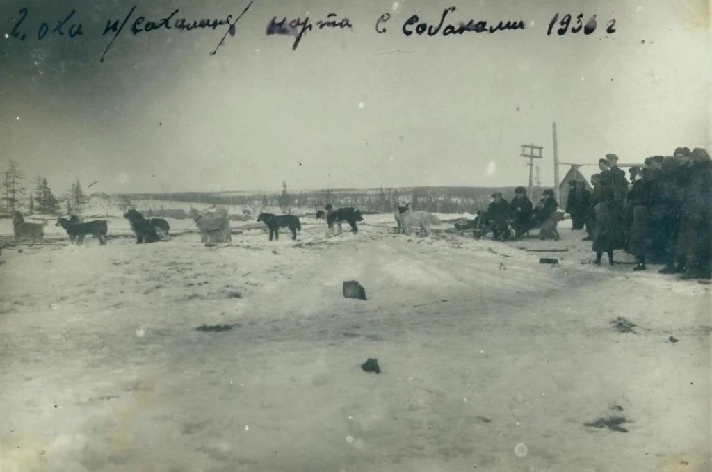Нарта с собаками близ г. Оха в 1936 г.
