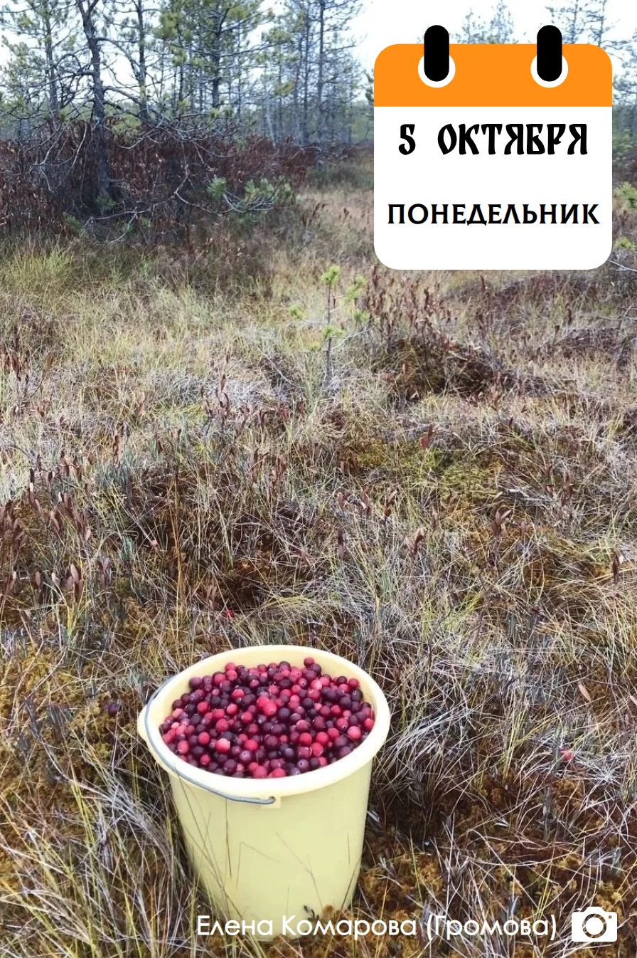 Доброе утро!