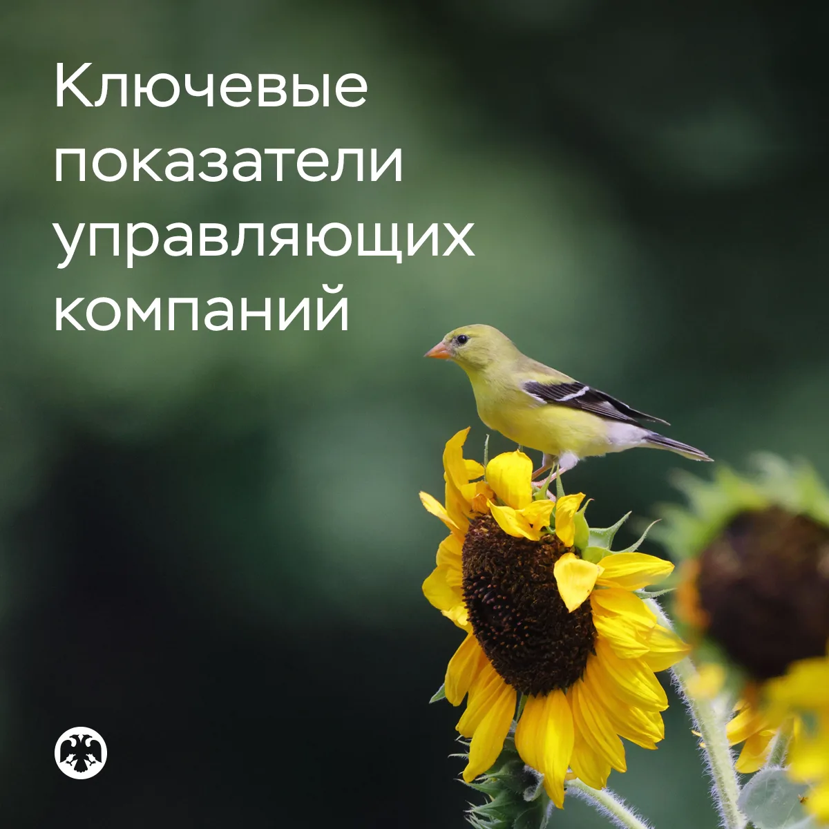 Клиентские активы в управляющих компаниях достигли почти 36 триллионов рублей по итогам...