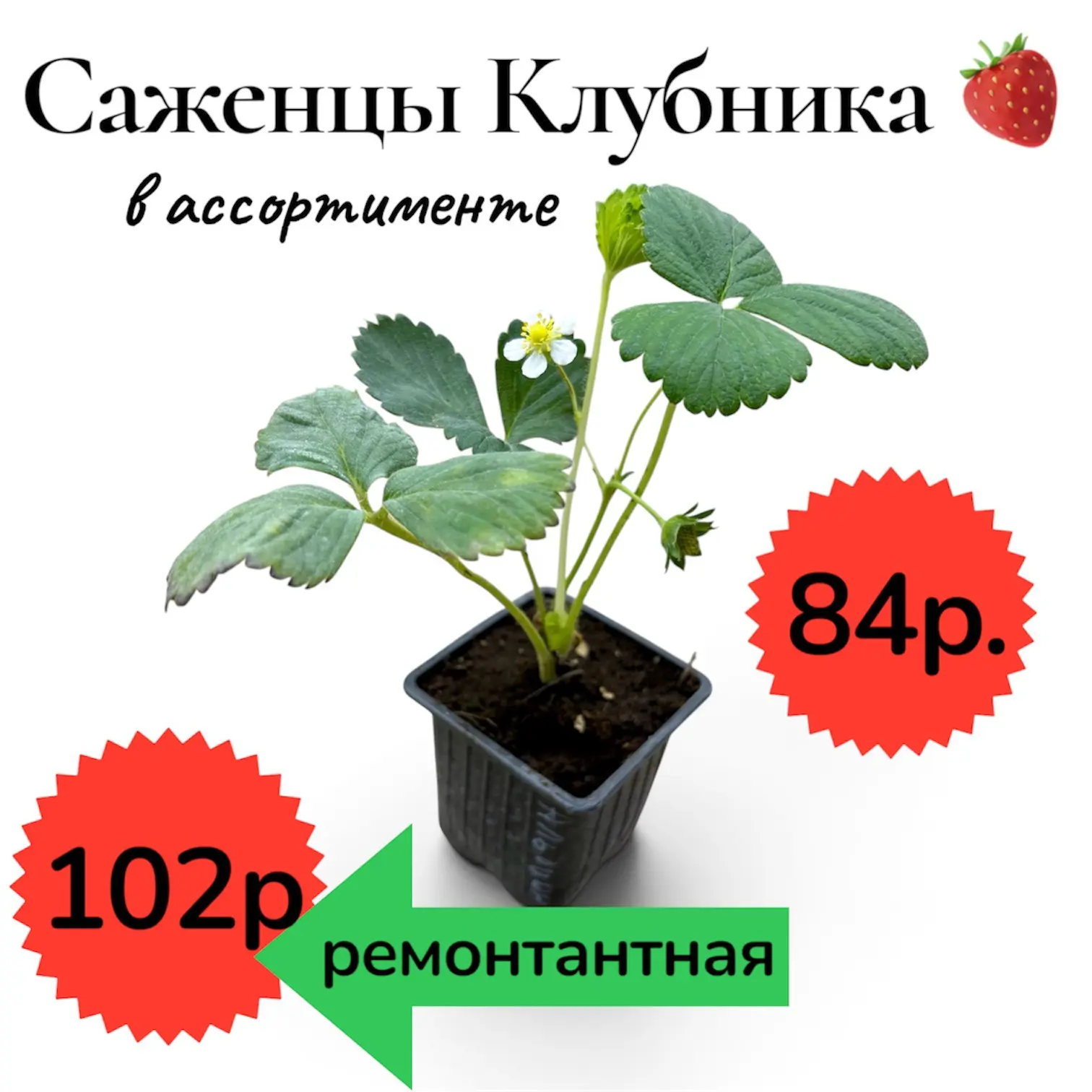 Новое поступление ❗️