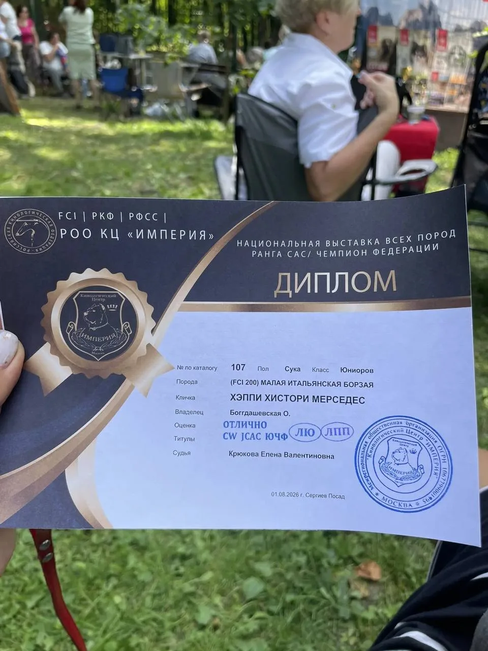 Про собаченек

Сегодня у нашей левреточки был выставочный дебют

Моя прекрасная Илона впервые в жизн