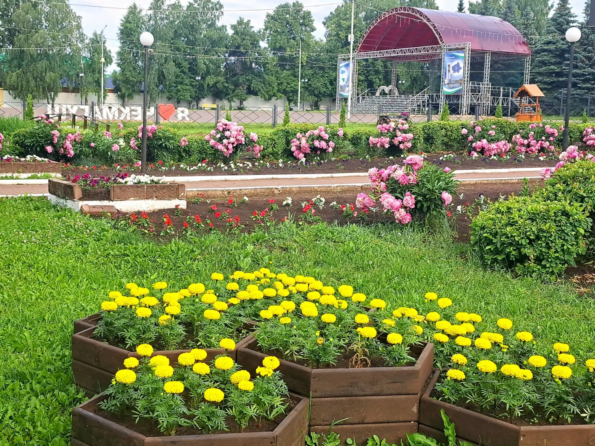 🌤️Доброе утро, друзья!

Пусть рабочая неделя будет лёгкой и продуктивной, а летняя красота дарит от