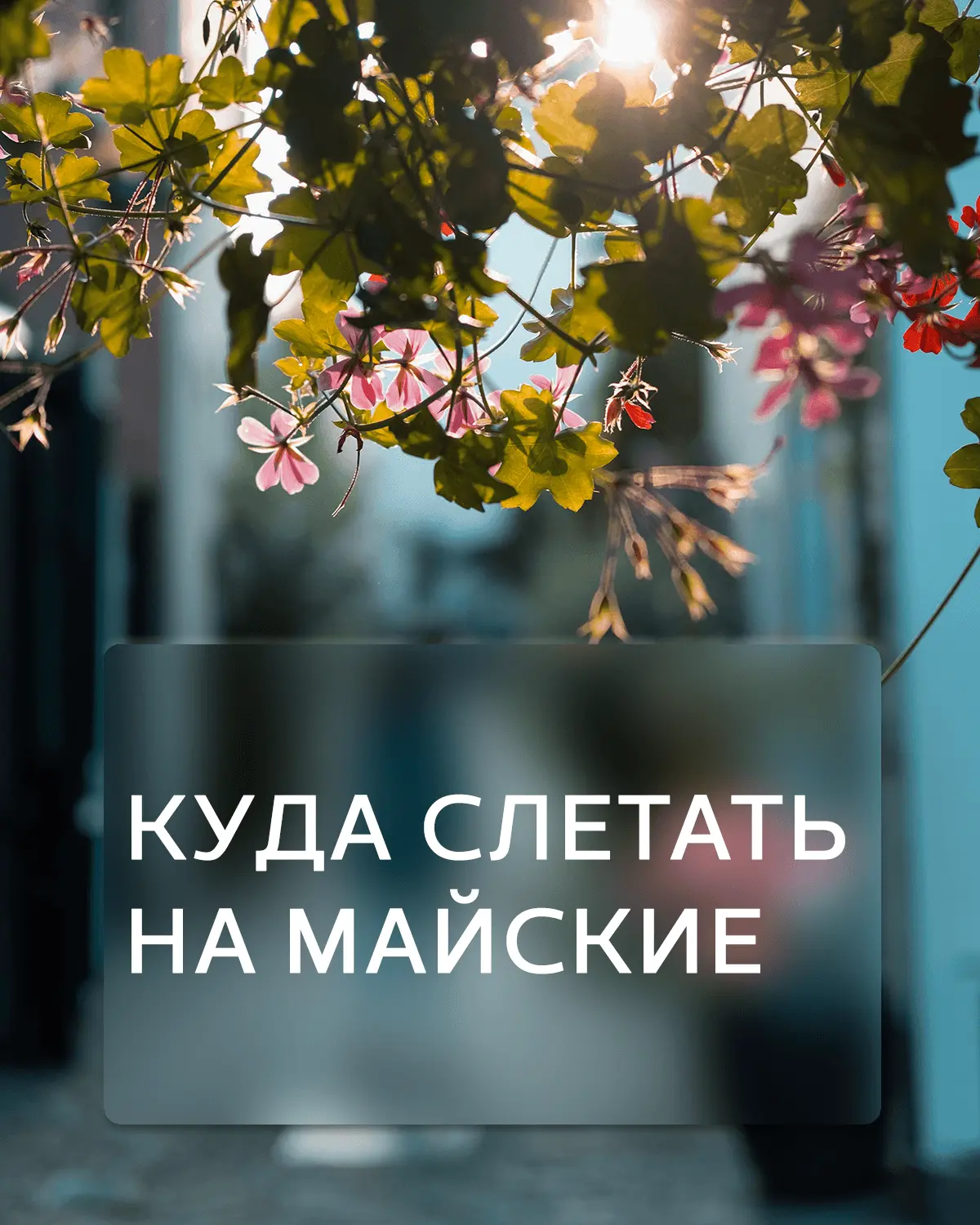 Знаете, в чём прелесть мая? Это время, когда больше не нужно бежать в тропики ради тепла. Оно уже зд