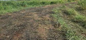 По принятым Россельхознадзором мерам в Томской области ликвидировано 8 несанкционирован...