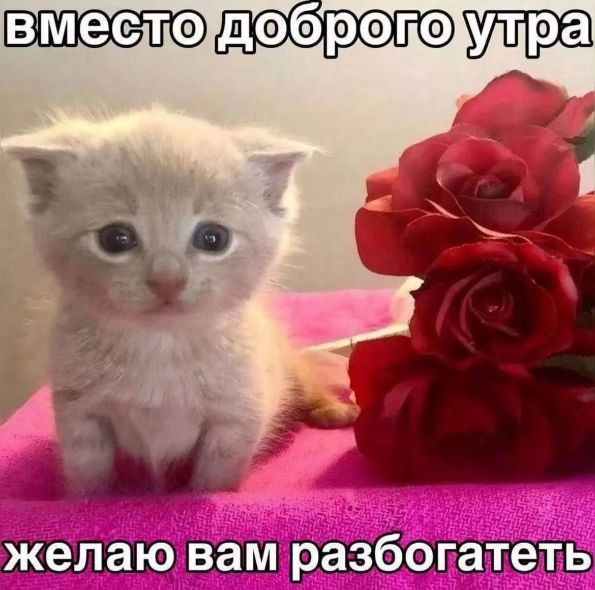Недра Чили 🌶️ в телеграм