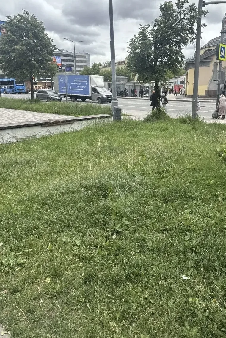 До/после