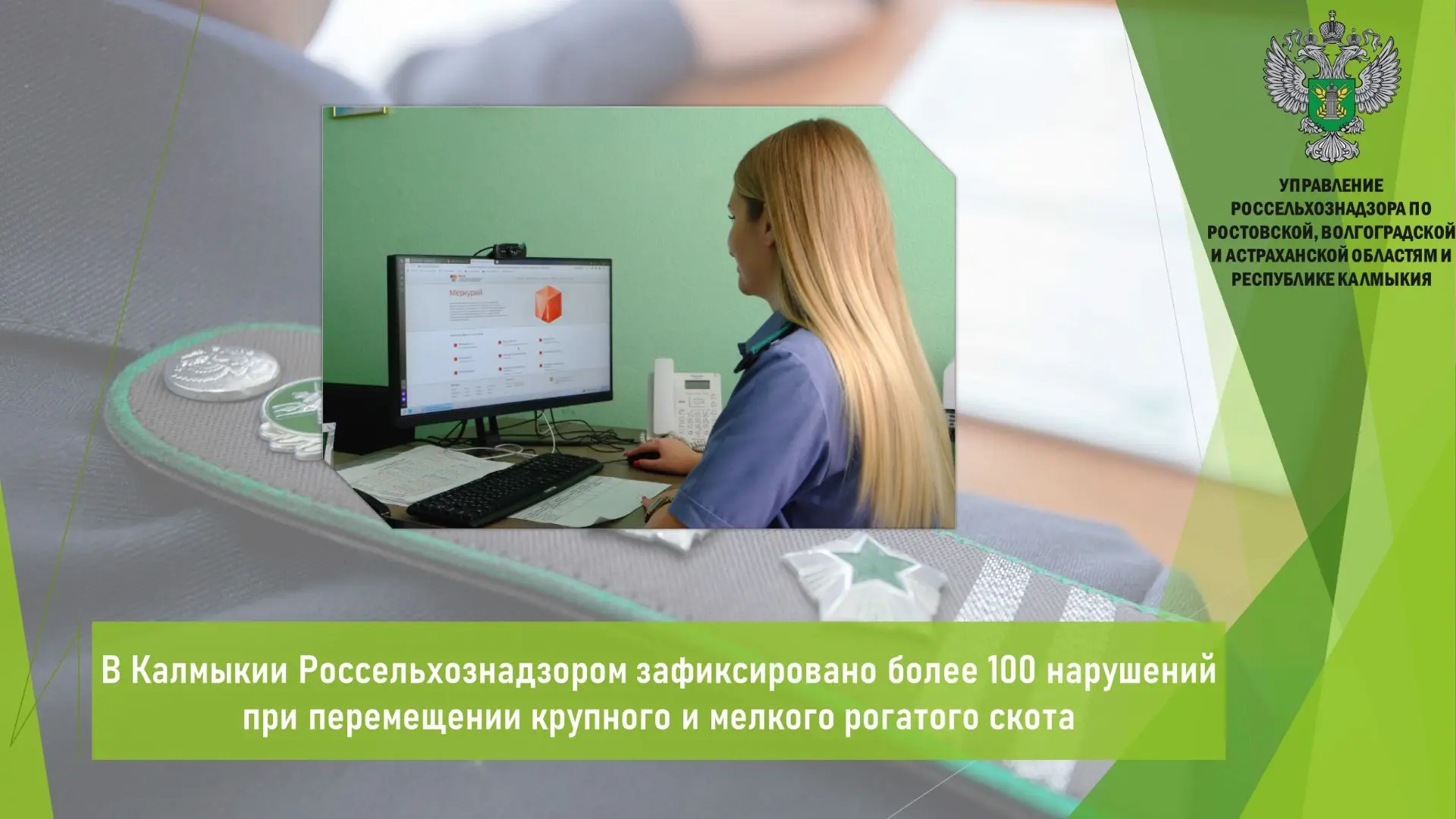 ✍ С 12 января по 24 августа Управлением Россельхознадзора проведено 95 контрольных (над...