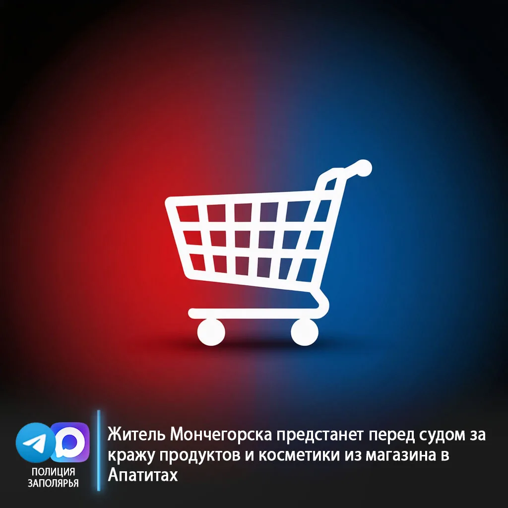 Житель Мончегорска предстанет перед судом за кражу продуктов и косметики из магазина в Апатитах

🏪 