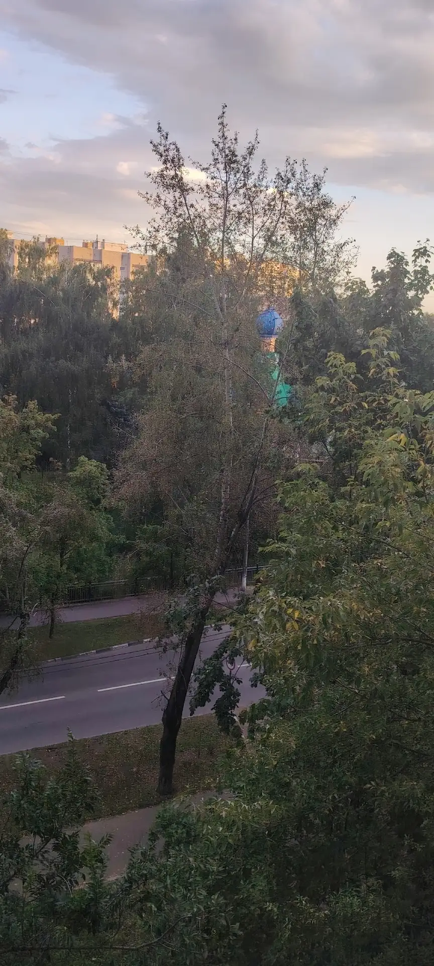 Уберите дерево, которое тополь он может упасть, и портит весь вид.