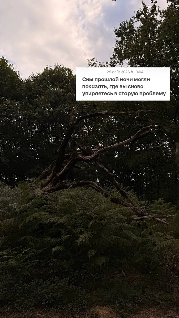 о чем мой сон