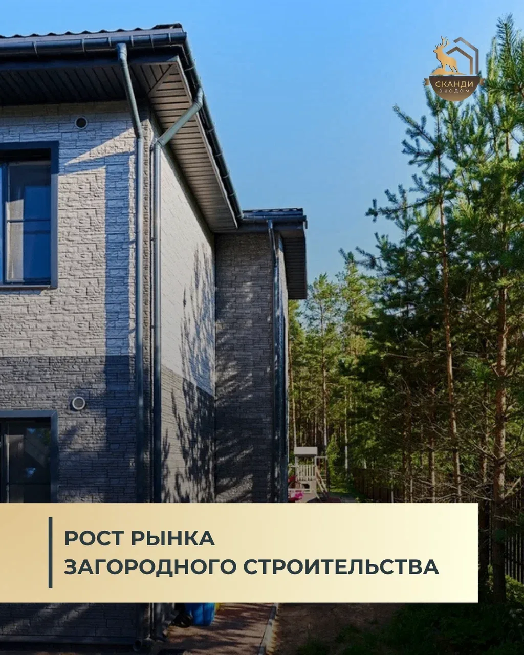 54,5 млрд рублей в землю📈
