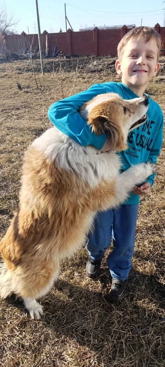 🐾 Не разлей вода! У нашего Проши появился новый лучший друг! ❤  🥰 Помните этого большого и солнечног
