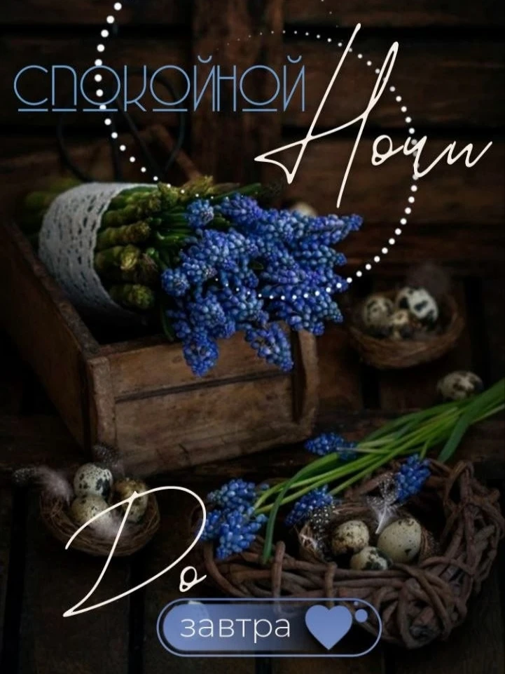 #СпокойнойНочи