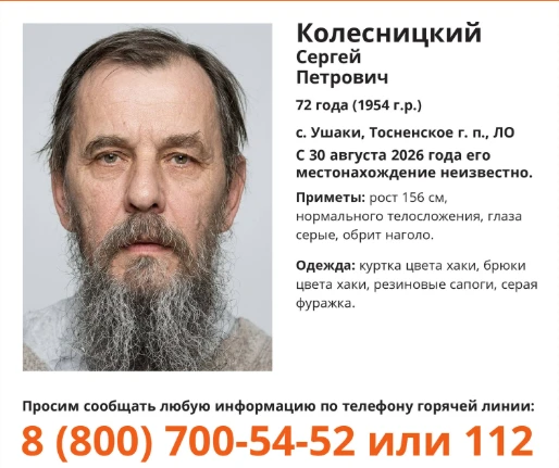 В Ленобласти четвертые сутки ищут пропавшего 72-летнего мужчину