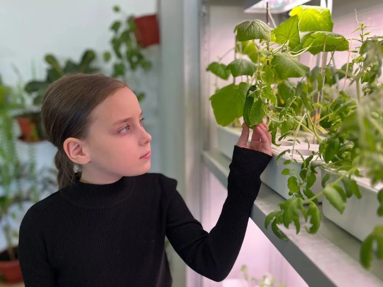 🌱 «Зелёный эксклюзив» за полярным кругом: школьники Ямала стали сити‑фермерами при поддержке ЛУКОЙЛа
