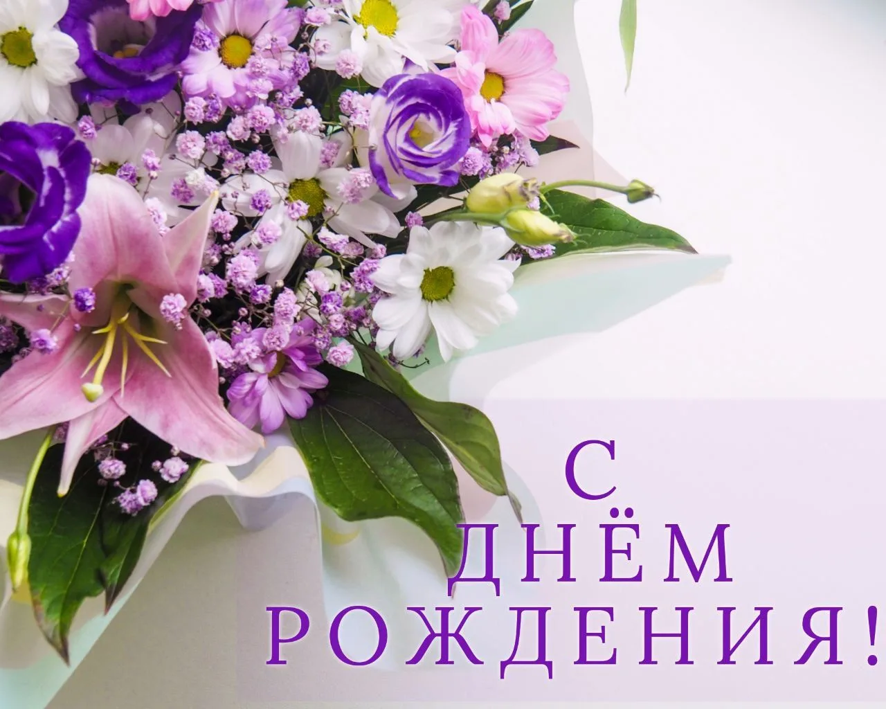 Сегодня поздравляем с Днем Рождения