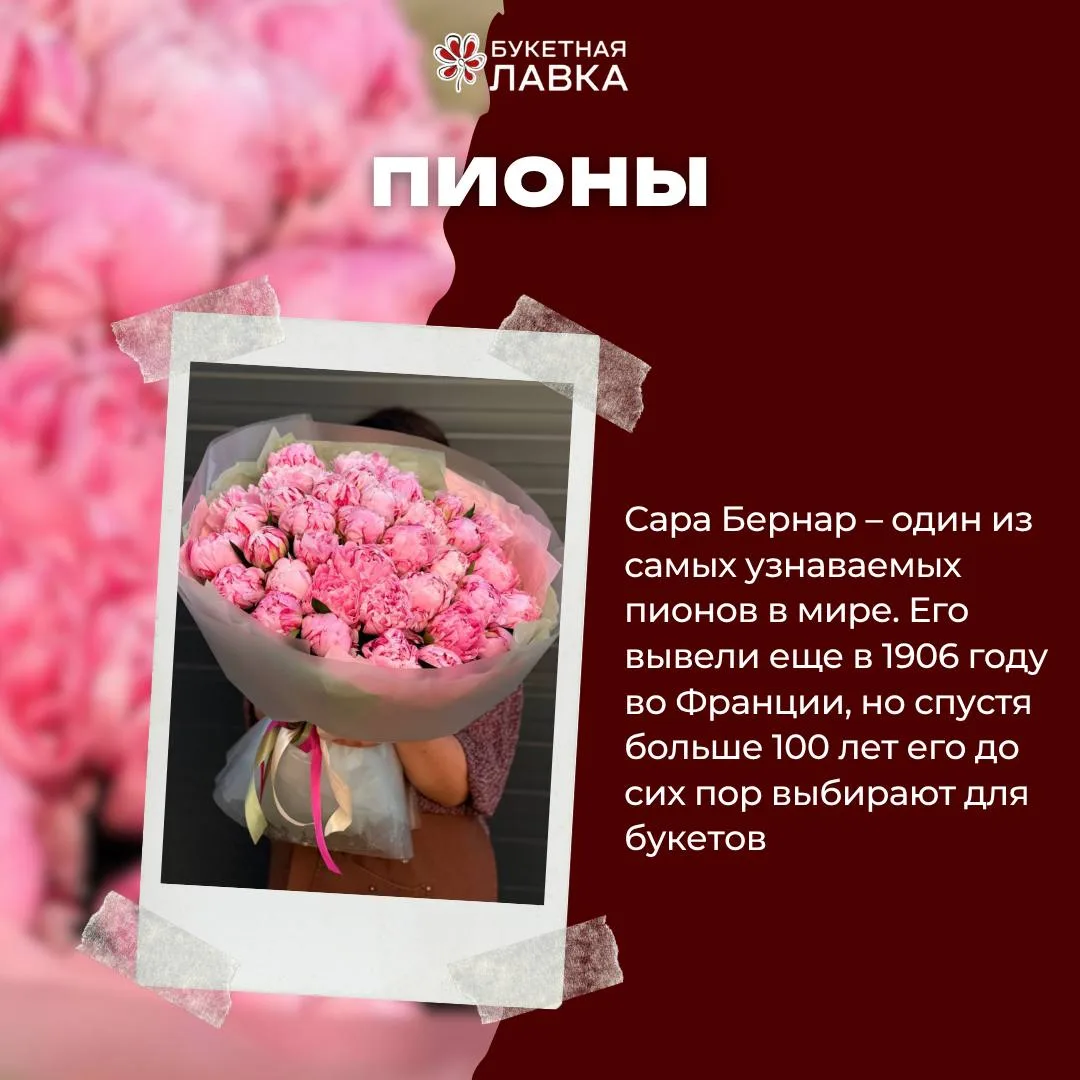 ✨ИНТЕРЕСНЫЕ ФАКТЫ✨