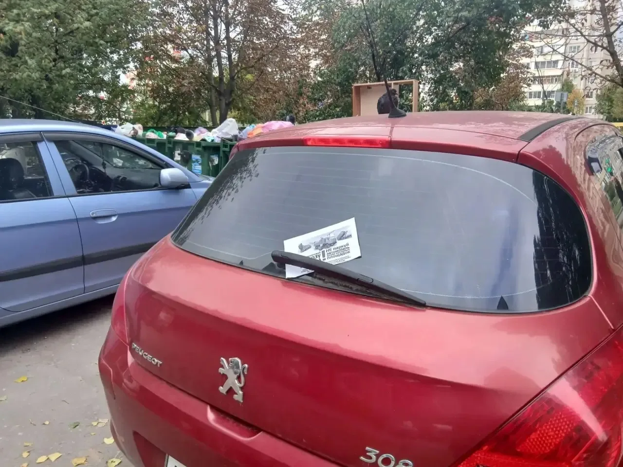 В Липецке продолжается работа по повышению культуры обращения с отходами🚛