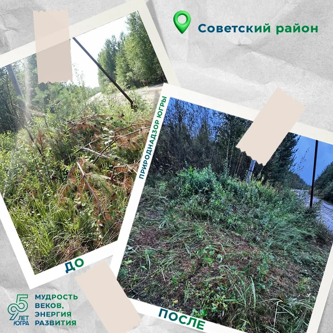 В июле 2026 года инспекторы Советского отдела Природнадзора Югры выявили нарушение в Ка...