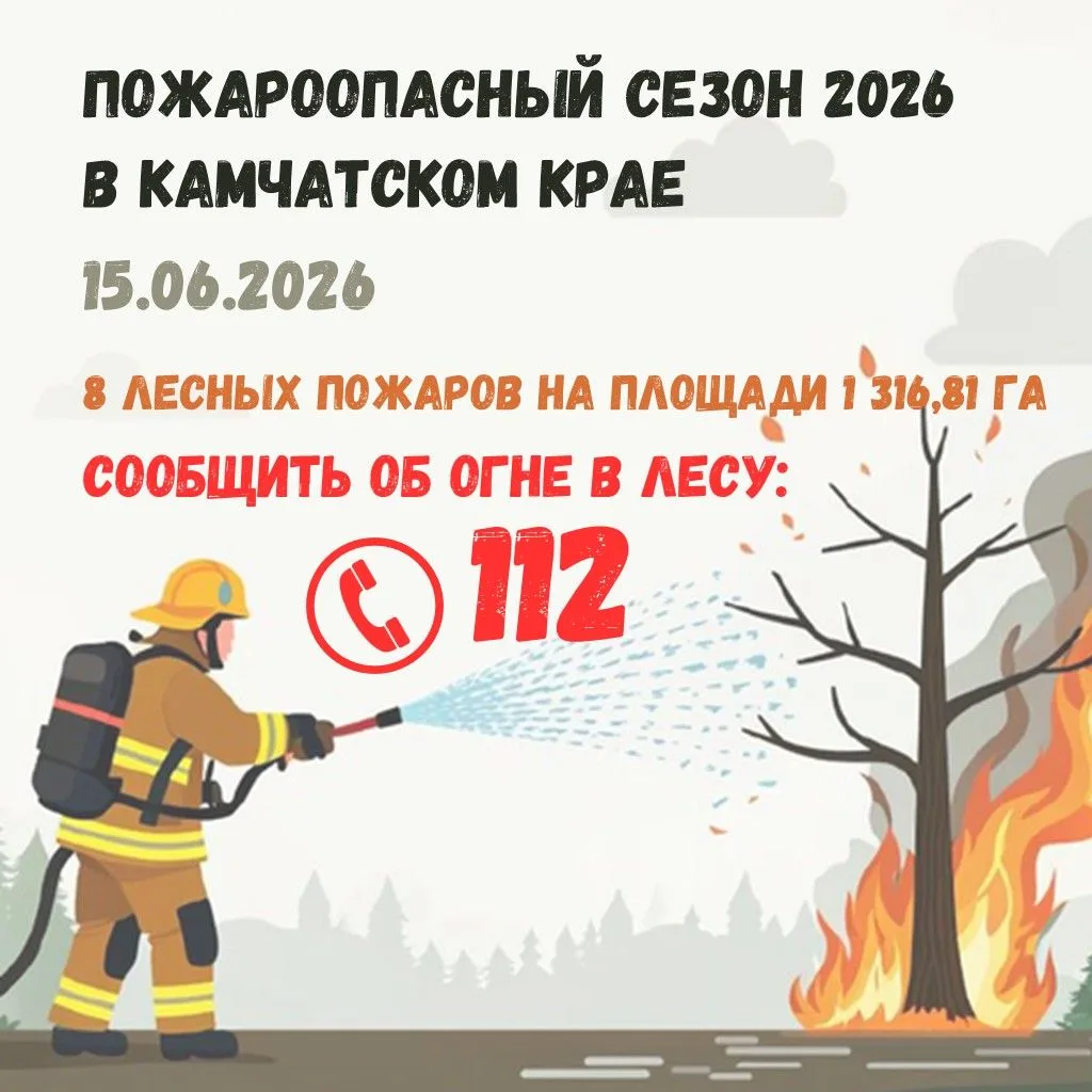 Здравствуйте, друзья!

С начала пожароопасного сезона на территории края ликвидировано 8 лесных пожа
