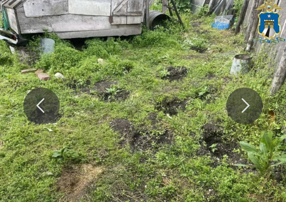 📍👮 В Кировском округе пресекли незаконное хранение наркотиков и выращивание конопли

Сотрудники на