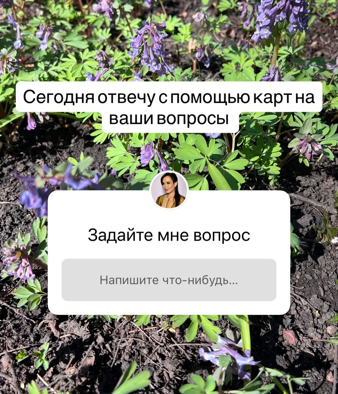 Пишите в комментариях 👇🏻